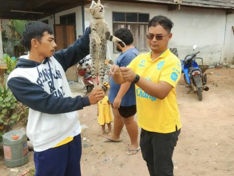 โครงการรณรงค์ฉีดวัคซีนป้องกันโรคพิษสุนัขบ้าฯ ประจำปีงบประมาณ 2568