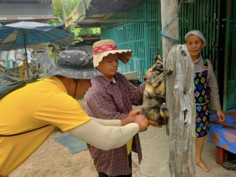โครงการรณรงค์ฉีดวัคซีนป้องกันโรคพิษสุนัขบ้าฯ ประจำปีงบประมาณ 2568