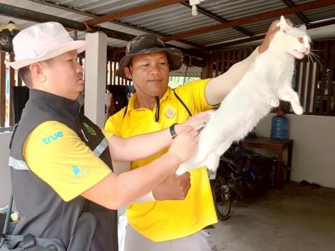 โครงการรณรงค์ฉีดวัคซีนป้องกันโรคพิษสุนัขบ้าฯ ประจำปีงบประมาณ 2568
