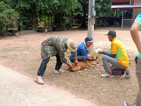 โครงการรณรงค์ฉีดวัคซีนป้องกันโรคพิษสุนัขบ้าฯ ประจำปีงบประมาณ 2568