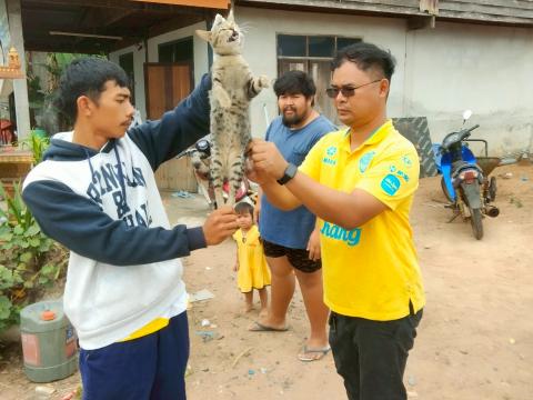 โครงการรณรงค์ฉีดวัคซีนป้องกันโรคพิษสุนัขบ้าฯ ประจำปีงบประมาณ 2568