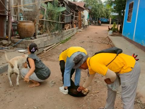 โครงการรณรงค์ฉีดวัคซีนป้องกันโรคพิษสุนัขบ้าฯ ประจำปีงบประมาณ 2568