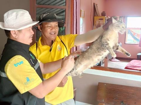 โครงการรณรงค์ฉีดวัคซีนป้องกันโรคพิษสุนัขบ้าฯ ประจำปีงบประมาณ 2568