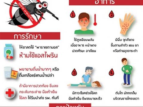 ประชาสัมพันธ์การเฝ้าระวัง ป้องกันโรคไข้เลือดออก