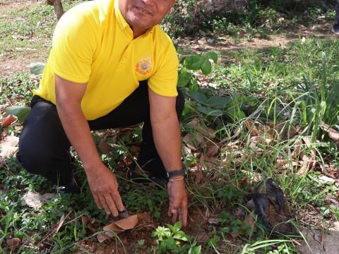 โครงการรณรงค์ปลูกต้นไม้เพื่อช่วยลดและป้องกันการเกิดฝุ่นละอองขนาดเล็ก PM2.5 ประจำปีงบประมาณ 2568