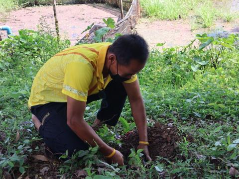 โครงการรณรงค์ปลูกต้นไม้เพื่อช่วยลดและป้องกันการเกิดฝุ่นละอองขนาดเล็ก PM2.5 ประจำปีงบประมาณ 2568