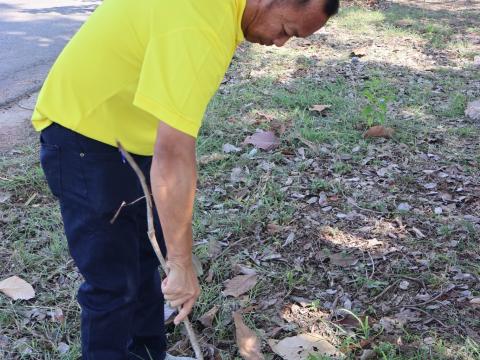 โครงการรณรงค์ปลูกต้นไม้เพื่อช่วยลดและป้องกันการเกิดฝุ่นละอองขนาดเล็ก PM2.5 ประจำปีงบประมาณ 2568