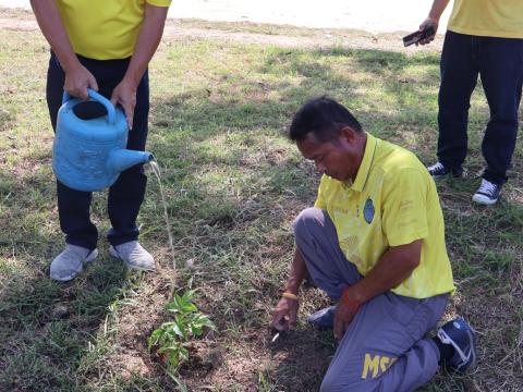 โครงการรณรงค์ปลูกต้นไม้เพื่อช่วยลดและป้องกันการเกิดฝุ่นละอองขนาดเล็ก PM2.5 ประจำปีงบประมาณ 2568