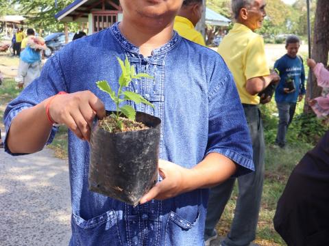 โครงการรณรงค์ปลูกต้นไม้เพื่อช่วยลดและป้องกันการเกิดฝุ่นละอองขนาดเล็ก PM2.5 ประจำปีงบประมาณ 2568