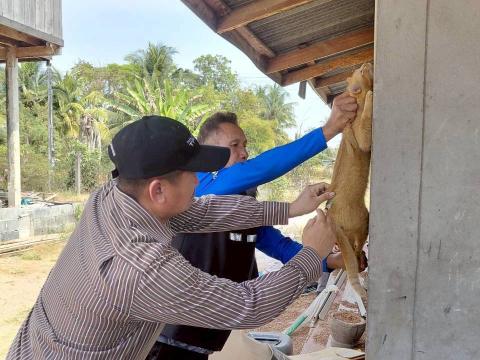 โครงการรณรงค์ฉีดวัคซีนป้องกันโรคพิษสุนัขบ้า ประจำปีงบประมาณ 2569 วันที่ 9 กุมภาพันธ์ 2569