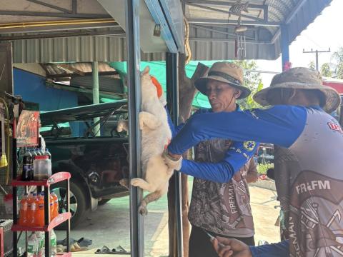 โครงการรณรงค์ฉีดวัคซีนป้องกันโรคพิษสุนัขบ้า ประจำปีงบประมาณ 2569 วันที่ 11 กุมภาพันธ์ 2569