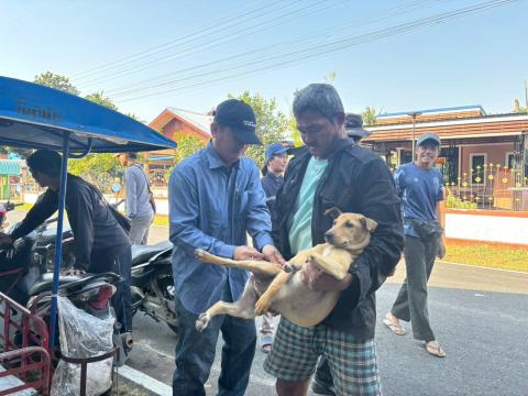 โครงการรณรงค์ฉีดวัคซีนป้องกันโรคพิษสุนัขบ้า ประจำปีงบประมาณ 2569 วันที่ 12 กุมภาพันธ์ 2569