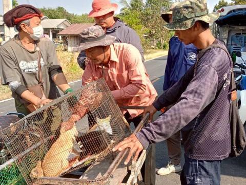 โครงการรณรงค์ฉีดวัคซีนป้องกันโรคพิษสุนัขบ้า ประจำปีงบประมาณ 2569 วันที่ 12 กุมภาพันธ์ 2569