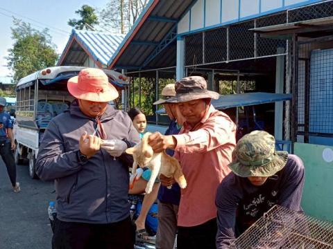 โครงการรณรงค์ฉีดวัคซีนป้องกันโรคพิษสุนัขบ้า ประจำปีงบประมาณ 2569 วันที่ 12 กุมภาพันธ์ 2569
