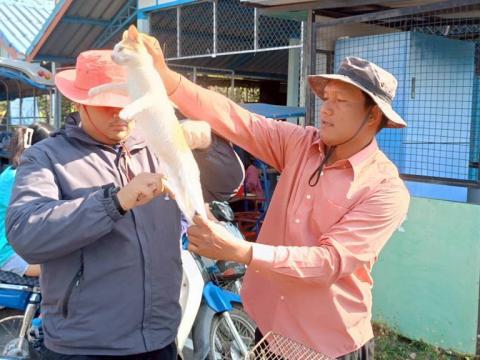 โครงการรณรงค์ฉีดวัคซีนป้องกันโรคพิษสุนัขบ้า ประจำปีงบประมาณ 2569 วันที่ 12 กุมภาพันธ์ 2569