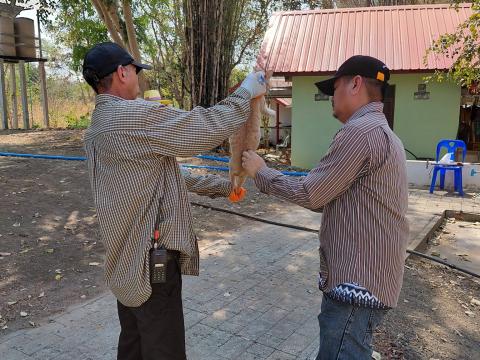 โครงการรณรงค์ฉีดวัคซีนป้องกันโรคพิษสุนัขบ้า ประจำปีงบประมาณ 2569 วันที่ 13 กุมภาพันธ์ 2569
