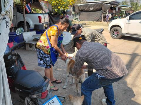 โครงการรณรงค์ฉีดวัคซีนป้องกันโรคพิษสุนัขบ้า ประจำปีงบประมาณ 2569 วันที่ 13 กุมภาพันธ์ 2569