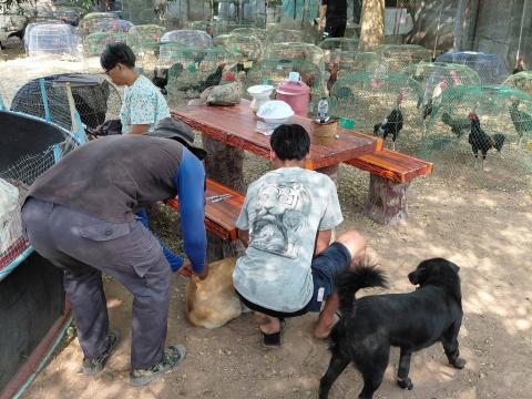 โครงการรณรงค์ฉีดวัคซีนป้องกันโรคพิษสุนัขบ้า ประจำปีงบประมาณ 2569 วันที่ 16 กุมภาพันธ์ 2569