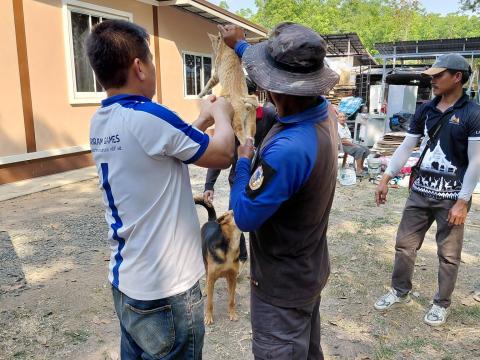 โครงการรณรงค์ฉีดวัคซีนป้องกันโรคพิษสุนัขบ้า ประจำปีงบประมาณ 2569 วันที่ 16 กุมภาพันธ์ 2569
