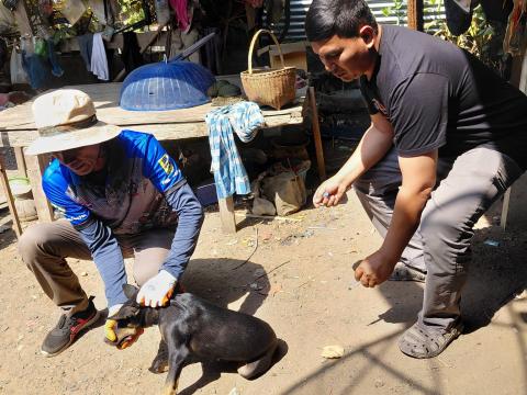 โครงการรณรงค์ฉีดวัคซีนป้องกันโรคพิษสุนัขบ้า ประจำปีงบประมาณ 2569 วันที่ 17 กุมภาพันธ์ 2569