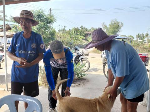 โครงการรณรงค์ฉีดวัคซีนป้องกันโรคพิษสุนัขบ้า ประจำปีงบประมาณ 2569 วันที่ 18 กุมภาพันธ์ 2569