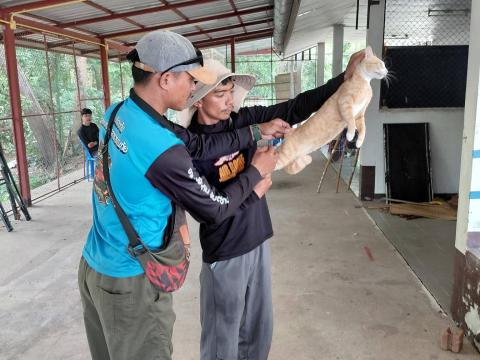 รณรงค์ฉีดวัคซีนป้องกันโรคพิษสุนัขบ้า กรณีเกิดโรคพิษสุนัขบ้าในพื้นที่อำเภอเฉลิมพระเกียรติ ซึ่งเป็นพื้นที่รอยต่อติดกับบ้านหนองถนน วันที่ 18 มิถุนายน 2569