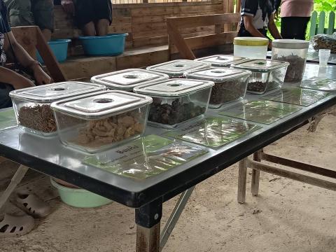 วันที่ 4 กรกฎาคม 2569 ศึกษาดูงานและรับฟังการบรรยายเรื่อง เศรษฐกิจพอเพียงและโคกหนองนาโมเดลของศูนย์ การเรียนรู้โครงการพระราชทานฯ จากเรือนจำชั่วคราวเขาไม้แก้ว