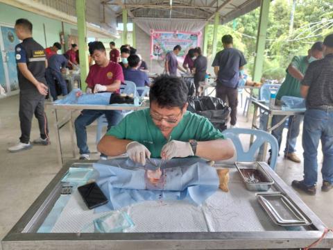 โครงการทำหมันสุนัขและแมว ประจำปีงบประมาณ พ.ศ. 2569
