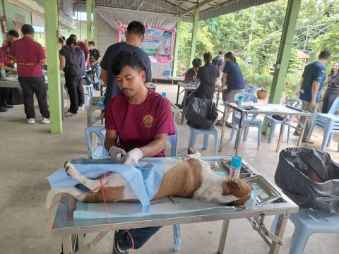 โครงการทำหมันสุนัขและแมว ประจำปีงบประมาณ พ.ศ. 2569