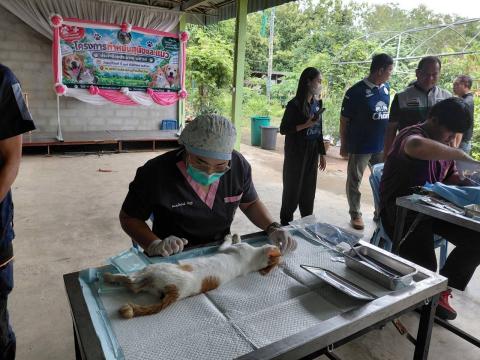 โครงการทำหมันสุนัขและแมว ประจำปีงบประมาณ พ.ศ. 2569