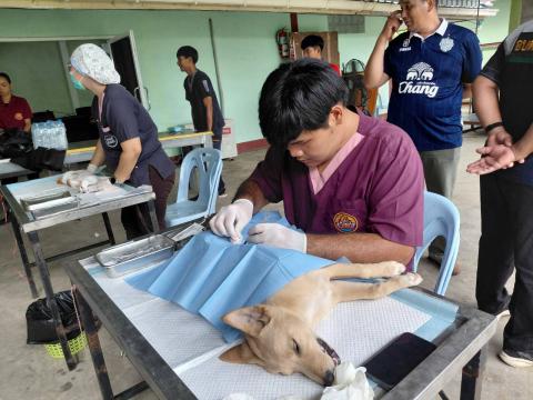 โครงการทำหมันสุนัขและแมว ประจำปีงบประมาณ พ.ศ. 2569