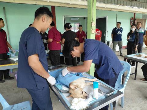 โครงการทำหมันสุนัขและแมว ประจำปีงบประมาณ พ.ศ. 2569