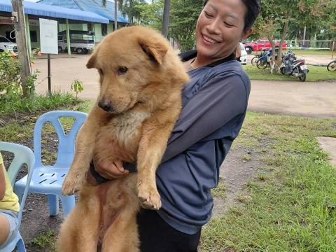 โครงการทำหมันสุนัขและแมว ประจำปีงบประมาณ พ.ศ. 2569