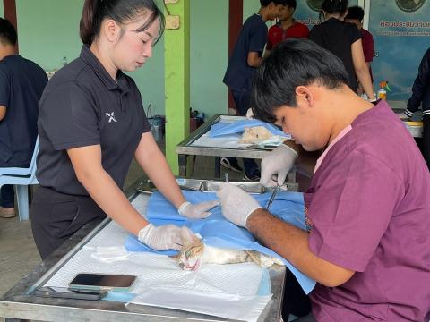โครงการทำหมันสุนัขและแมว ประจำปีงบประมาณ พ.ศ. 2569