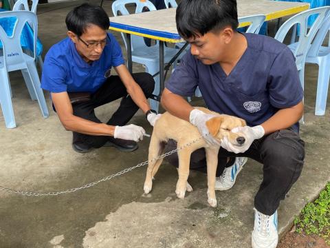 โครงการทำหมันสุนัขและแมว ประจำปีงบประมาณ พ.ศ. 2569