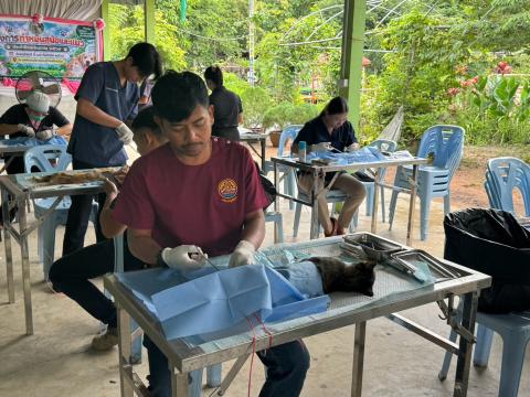 โครงการทำหมันสุนัขและแมว ประจำปีงบประมาณ พ.ศ. 2569