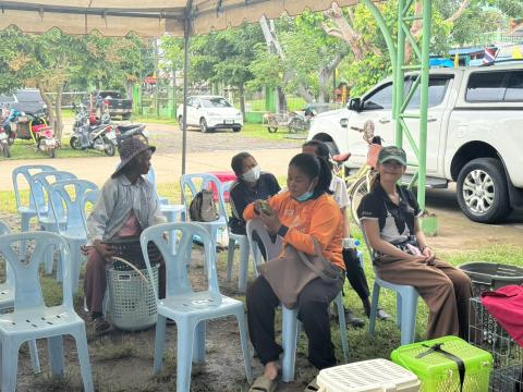 โครงการทำหมันสุนัขและแมว ประจำปีงบประมาณ พ.ศ. 2569