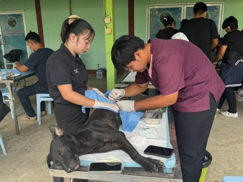 โครงการทำหมันสุนัขและแมว ประจำปีงบประมาณ พ.ศ. 2569