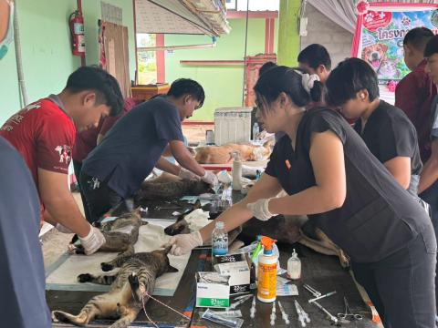 โครงการทำหมันสุนัขและแมว ประจำปีงบประมาณ พ.ศ. 2569