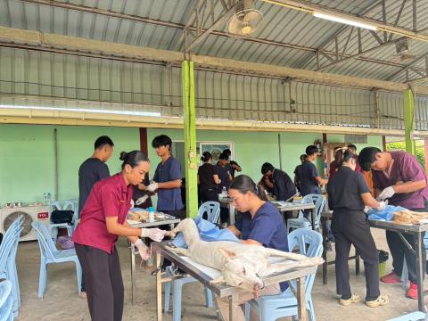 โครงการทำหมันสุนัขและแมว ประจำปีงบประมาณ พ.ศ. 2569