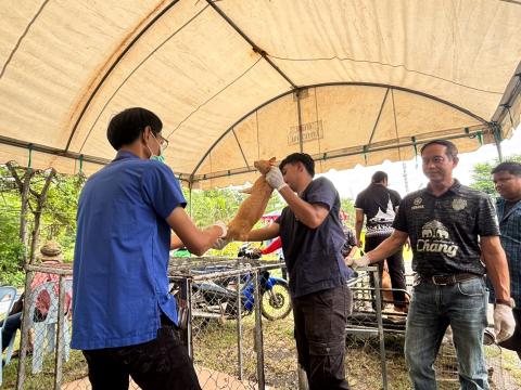 โครงการทำหมันสุนัขและแมว ประจำปีงบประมาณ พ.ศ. 2569