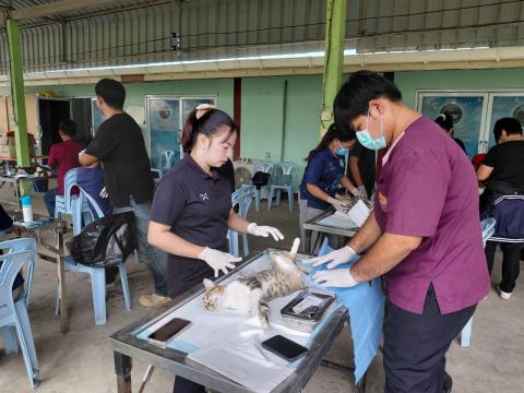โครงการทำหมันสุนัขและแมว ประจำปีงบประมาณ พ.ศ. 2569