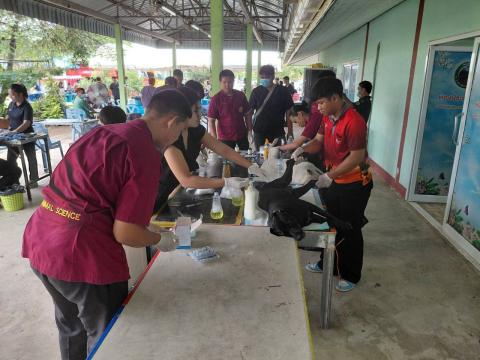 โครงการทำหมันสุนัขและแมว ประจำปีงบประมาณ พ.ศ. 2569
