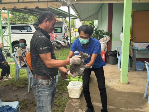 โครงการทำหมันสุนัขและแมว ประจำปีงบประมาณ พ.ศ. 2569