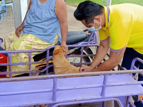 ฉีดวัคซีนป้องกันโรคพิษสุนัขบ้า หมู่ที่ 5 ตำบลโคกว่าน