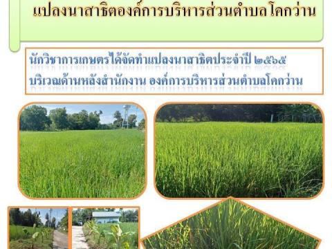 จดหมายข่าว