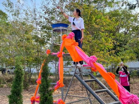 โคกว่านเกมส์ ครั้งที่ 17