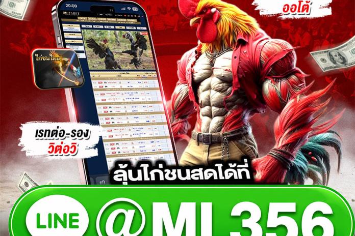 เว็บแทงไก่ชนออนไลน์ @ML356 ดูฟรี พร้อมแทงได้ทันที ครบทุกสนาม