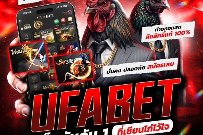 แนะนำ 5 เว็บแทงไก่ชนออนไลน์ @PR356 เว็บแทงไก่ชน เจาะลึกวงการไก่ชนไทย เทคนิคการลงทุนบน