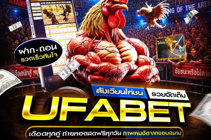 TOP+3 เว็บแทงไก่ชน แทงไก่ชนออนไลน์ @GD35 ที่จ่ายเงินที่เร็วที่สุด การเงินมั่นคงที่สุดในประเทศไทย เปิดบริการ 24 ชม.